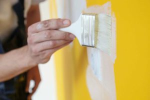 Painting Services Clarence